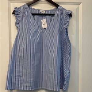 J. Crew Blue and White Striped V-Neck Top